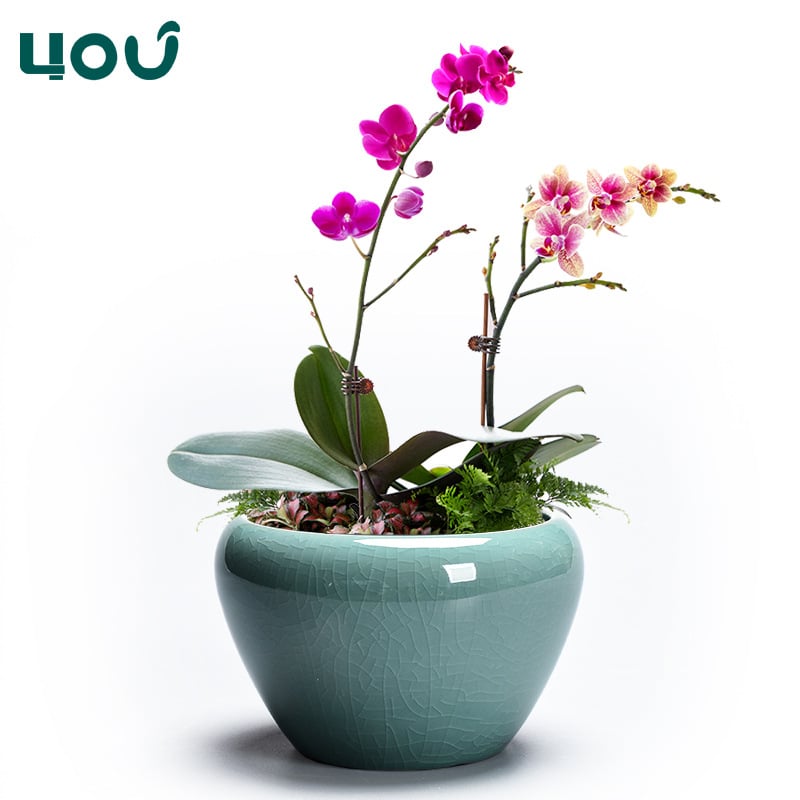 Keramička posuda za cvijeće, podna verzija, klasični stil, kućno vrtlarenje (Materijal: keramika; Oblik: podna verzija; Stil: klasični; Primjena: kućno vrtlarenje)