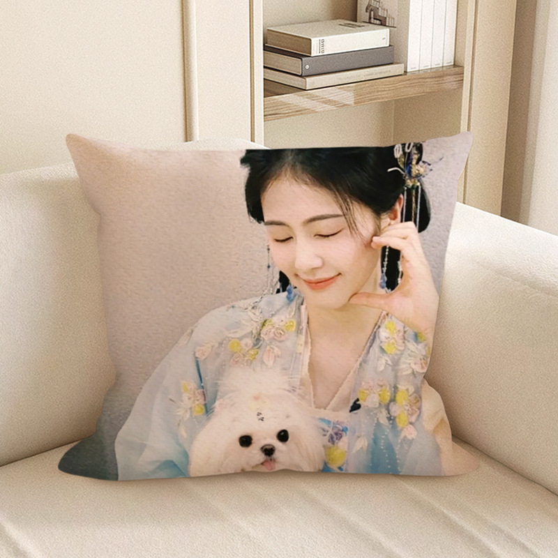 Dvostrani jastuk s temom ljubavi, plišani, iz serije jastuka za dnevni boravak, Zheng Shuyi, Jiang Xue Ning i Li Susu