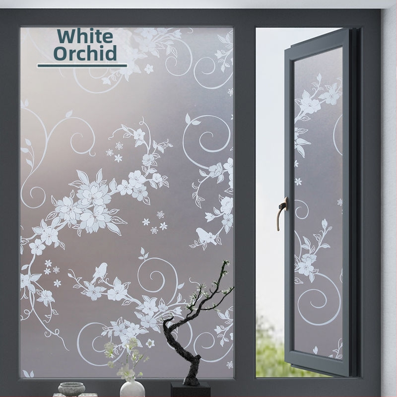 PVC lango filmas privatumo užtikrinimui su augalų motyvu, matinė apdaila, tinkama voniai ir stiklinėms durims – paprastas ir modernus stilius