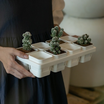 Stādīšanas palete ar turētāju, elpojoša, izturīga, no injekcijas liešanas plastmasas, ar 8/12/20/24 caurumiem