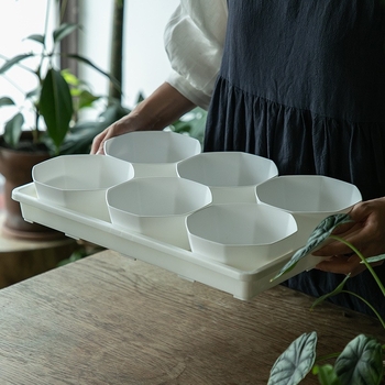 Stādīšanas palete ar turētāju, elpojoša, izturīga, no injekcijas liešanas plastmasas, ar 8/12/20/24 caurumiem