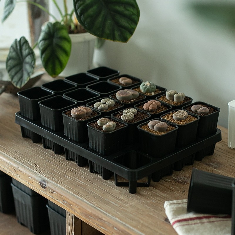 Stādīšanas palete ar turētāju, elpojoša, izturīga, no injekcijas liešanas plastmasas, ar 8/12/20/24 caurumiem