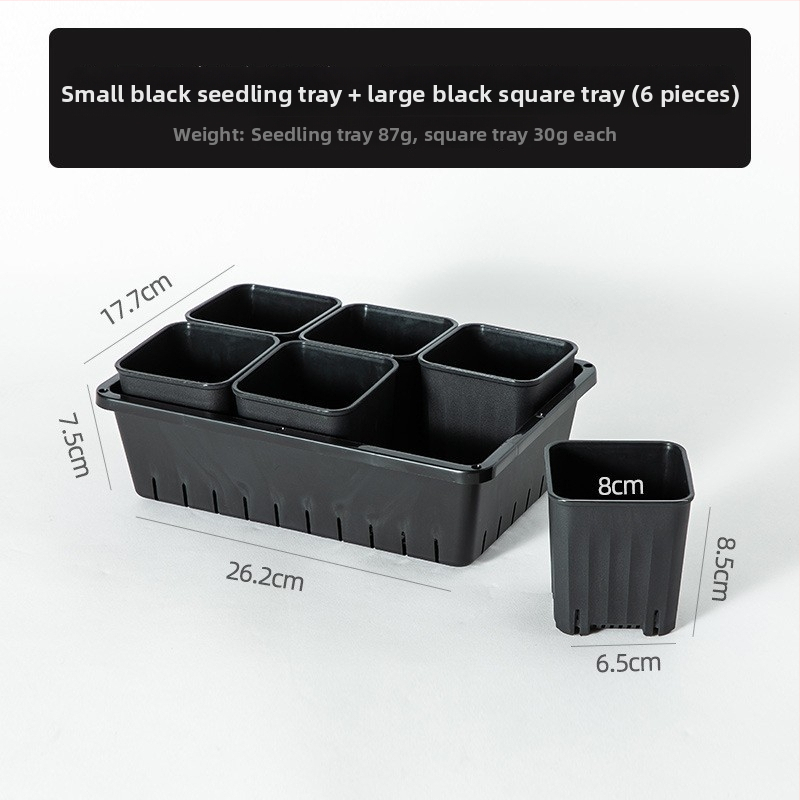 Stādīšanas palete ar turētāju, elpojoša, izturīga, no injekcijas liešanas plastmasas, ar 8/12/20/24 caurumiem