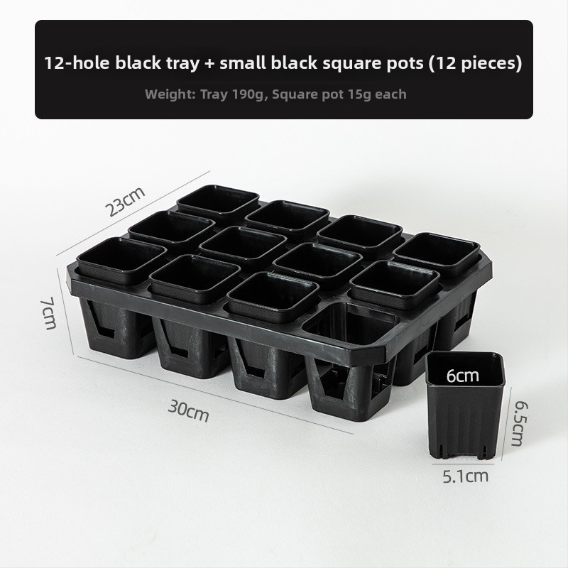 Stādīšanas palete ar turētāju, elpojoša, izturīga, no injekcijas liešanas plastmasas, ar 8/12/20/24 caurumiem