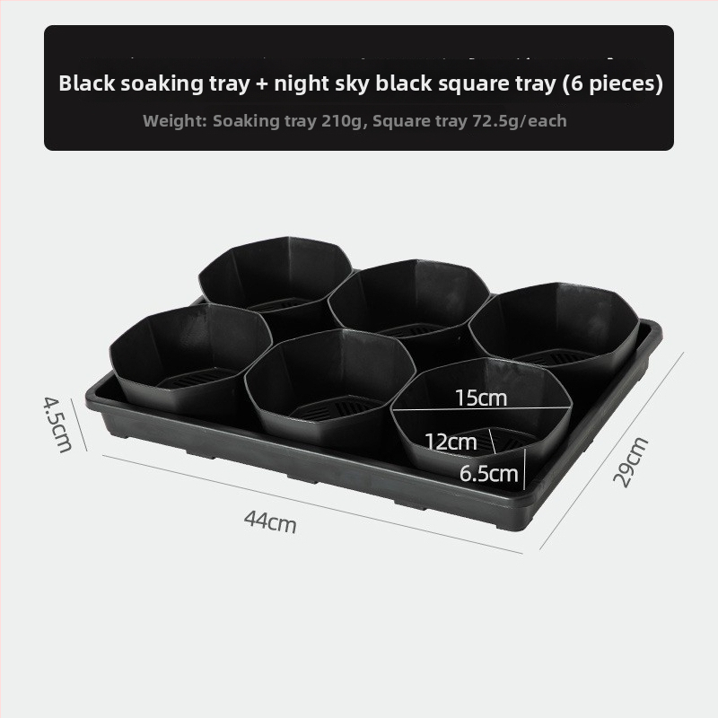 Stādīšanas palete ar turētāju, elpojoša, izturīga, no injekcijas liešanas plastmasas, ar 8/12/20/24 caurumiem