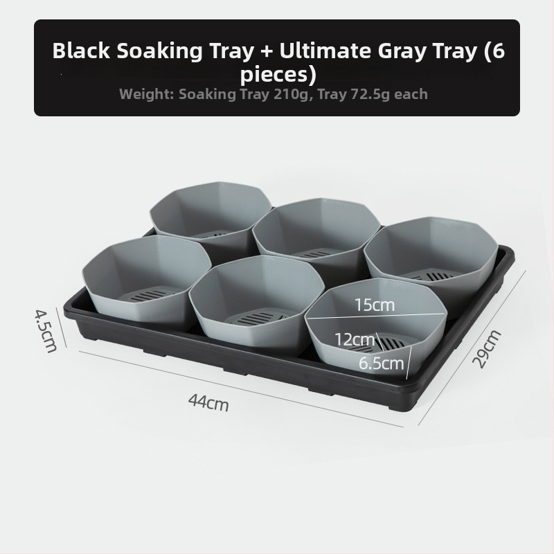 Stādīšanas palete ar turētāju, elpojoša, izturīga, no injekcijas liešanas plastmasas, ar 8/12/20/24 caurumiem