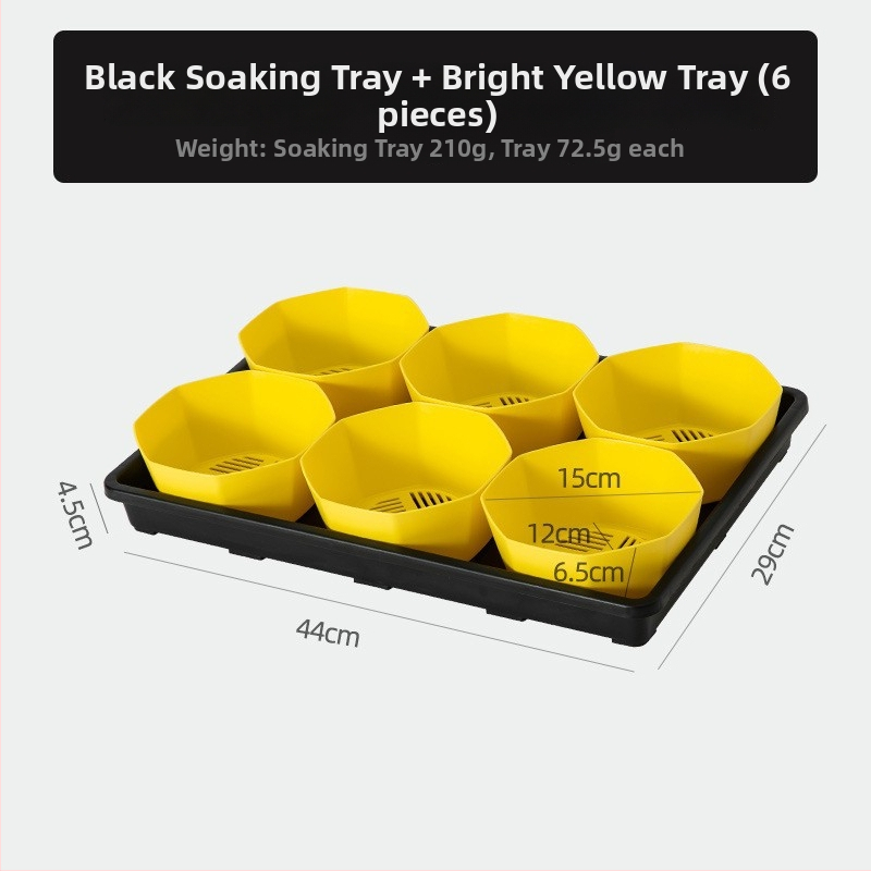 Stādīšanas palete ar turētāju, elpojoša, izturīga, no injekcijas liešanas plastmasas, ar 8/12/20/24 caurumiem