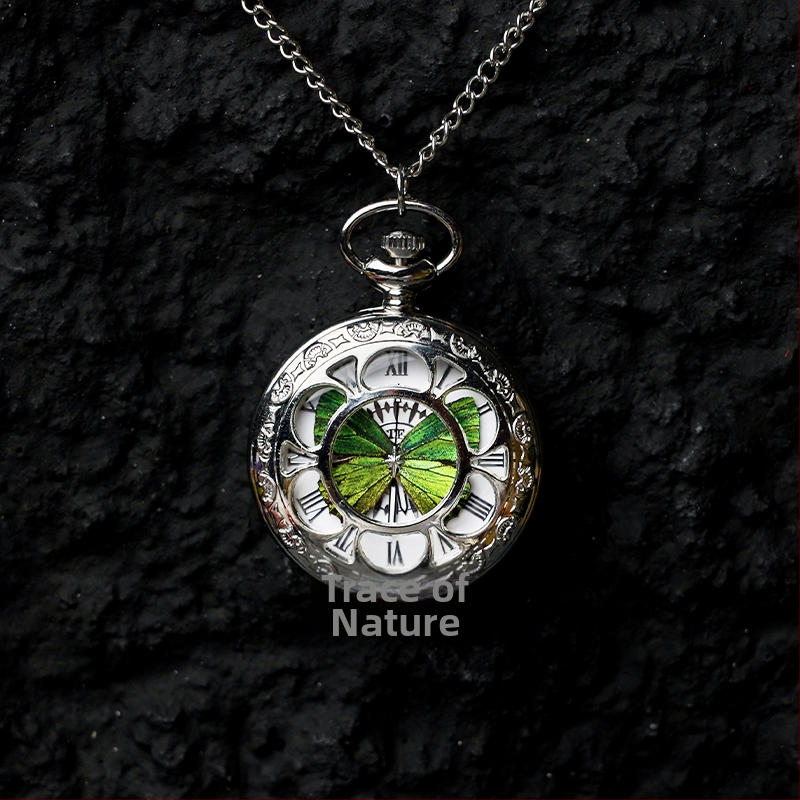 Liblika taskukell koos liikuva tegeliku liblika eksemplariga, ideaalne kingitus tüdrukutele ja sõbrannadele (Elektroniline mehhanism; veekindlus 35 m; silikoonkorpus; ümmargune kellapaneel; ABS klaas)