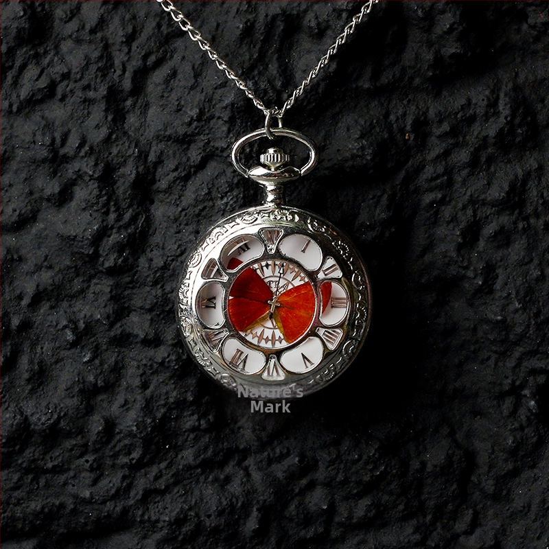 Liblika taskukell koos liikuva tegeliku liblika eksemplariga, ideaalne kingitus tüdrukutele ja sõbrannadele (Elektroniline mehhanism; veekindlus 35 m; silikoonkorpus; ümmargune kellapaneel; ABS klaas)