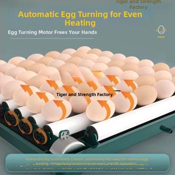 Inkubaator – väike kodukasutuseks automaatne nutikas inkubaator; Töötlemistehnoloogia: hõbedane sisse ehitus; Materjal: messing + elektriline valge teras; Vorm: geomeetriline tüüp; Puhtus: 98% hõbe; Käivitamine: Talv 2022