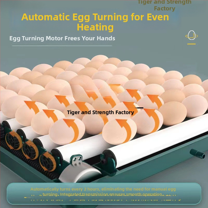 Inkubaator – väike kodukasutuseks automaatne nutikas inkubaator; Töötlemistehnoloogia: hõbedane sisse ehitus; Materjal: messing + elektriline valge teras; Vorm: geomeetriline tüüp; Puhtus: 98% hõbe; Käivitamine: Talv 2022