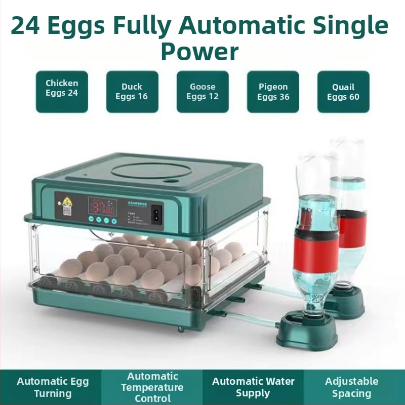 Inkubaator – väike kodukasutuseks automaatne nutikas inkubaator; Töötlemistehnoloogia: hõbedane sisse ehitus; Materjal: messing + elektriline valge teras; Vorm: geomeetriline tüüp; Puhtus: 98% hõbe; Käivitamine: Talv 2022