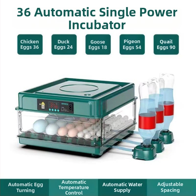 Inkubaator – väike kodukasutuseks automaatne nutikas inkubaator; Töötlemistehnoloogia: hõbedane sisse ehitus; Materjal: messing + elektriline valge teras; Vorm: geomeetriline tüüp; Puhtus: 98% hõbe; Käivitamine: Talv 2022