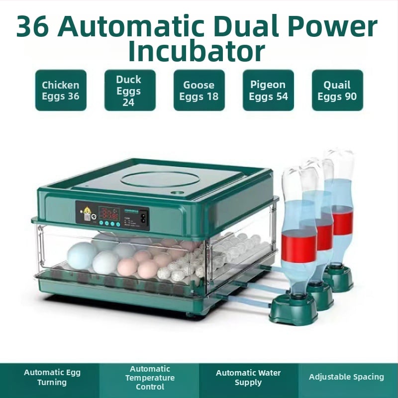Inkubaator – väike kodukasutuseks automaatne nutikas inkubaator; Töötlemistehnoloogia: hõbedane sisse ehitus; Materjal: messing + elektriline valge teras; Vorm: geomeetriline tüüp; Puhtus: 98% hõbe; Käivitamine: Talv 2022