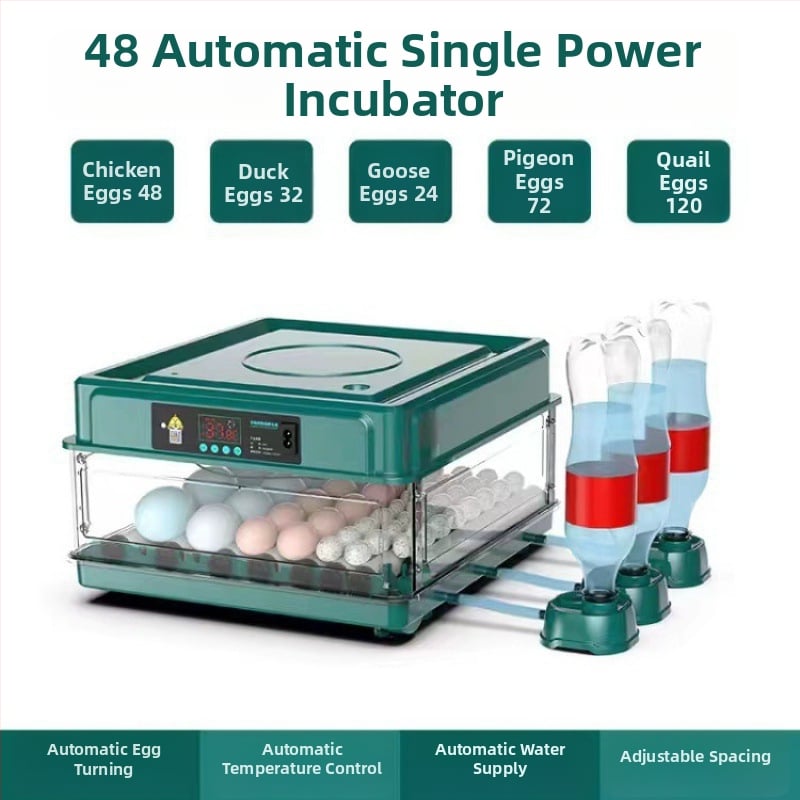 Inkubaator – väike kodukasutuseks automaatne nutikas inkubaator; Töötlemistehnoloogia: hõbedane sisse ehitus; Materjal: messing + elektriline valge teras; Vorm: geomeetriline tüüp; Puhtus: 98% hõbe; Käivitamine: Talv 2022