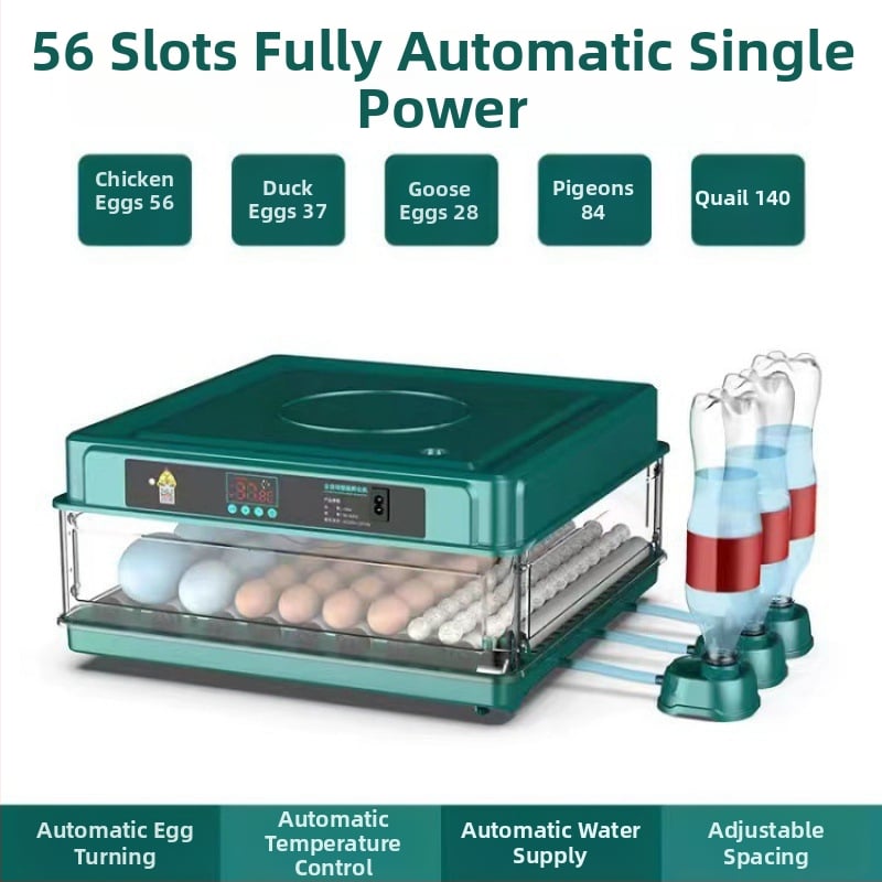 Inkubaator – väike kodukasutuseks automaatne nutikas inkubaator; Töötlemistehnoloogia: hõbedane sisse ehitus; Materjal: messing + elektriline valge teras; Vorm: geomeetriline tüüp; Puhtus: 98% hõbe; Käivitamine: Talv 2022