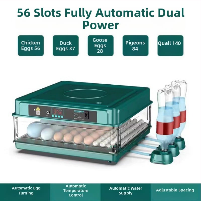 Inkubaator – väike kodukasutuseks automaatne nutikas inkubaator; Töötlemistehnoloogia: hõbedane sisse ehitus; Materjal: messing + elektriline valge teras; Vorm: geomeetriline tüüp; Puhtus: 98% hõbe; Käivitamine: Talv 2022