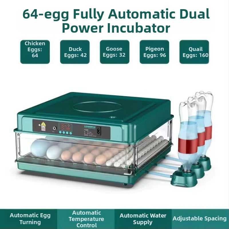 Inkubaator – väike kodukasutuseks automaatne nutikas inkubaator; Töötlemistehnoloogia: hõbedane sisse ehitus; Materjal: messing + elektriline valge teras; Vorm: geomeetriline tüüp; Puhtus: 98% hõbe; Käivitamine: Talv 2022