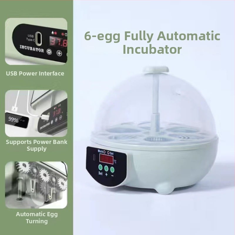 Inkubaator – väike kodukasutuseks automaatne nutikas inkubaator; Töötlemistehnoloogia: hõbedane sisse ehitus; Materjal: messing + elektriline valge teras; Vorm: geomeetriline tüüp; Puhtus: 98% hõbe; Käivitamine: Talv 2022