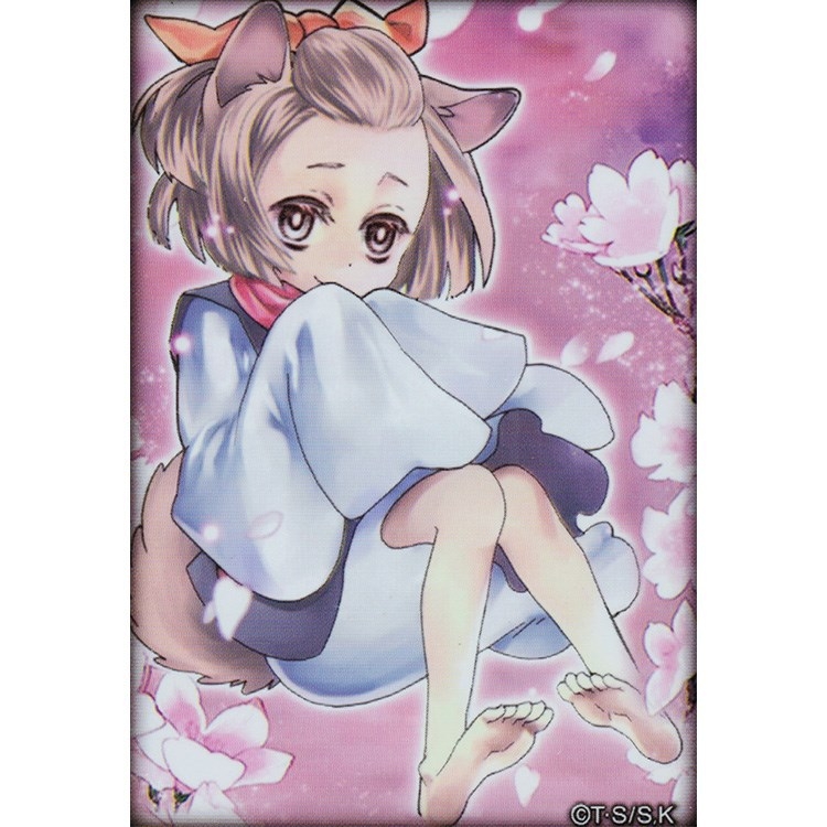 Yu-Gi-Oh ametlik kaardikott — blisterpakend, ühe kaardi kogumik, bränd sanmyushi