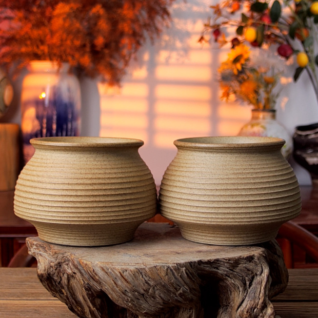 Keramikas ziedu pods, uz grīdas, vienkāršs stils, mājas dārzkopība