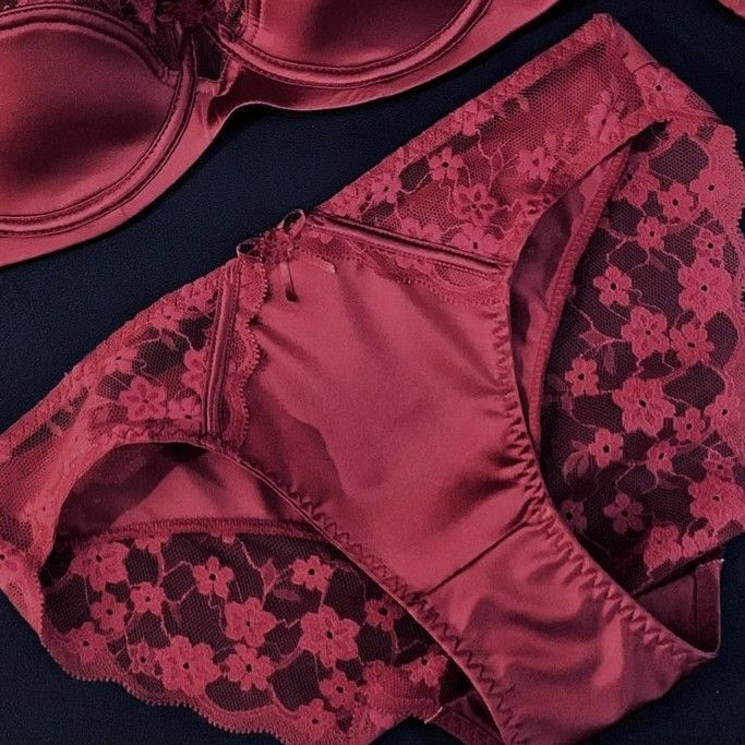 Francuski satenski grudnjak s čipkom za žene, s blagim push-up učinkom – sjajan set grudnjaka