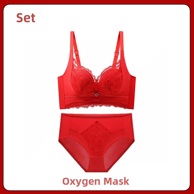 Nėrinių liemenėlės komplektas su 3/4 taurėmis, belaidis, fiksuoti petnešos, nugaros užsegimas su keturiomis eilėmis