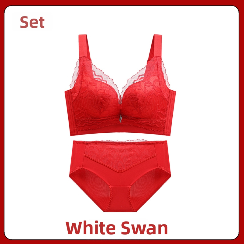 Nėrinių liemenėlės komplektas su 3/4 taurėmis, belaidis, fiksuoti petnešos, nugaros užsegimas su keturiomis eilėmis