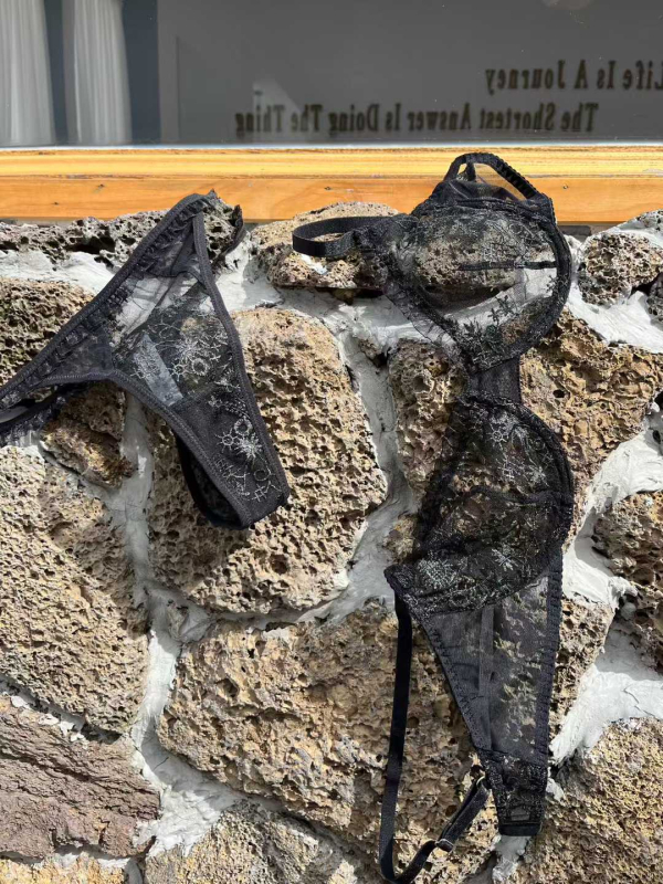Francuski stil seksi žensko donje rublje s izvezenom čipkom, ultra-tanke košarice, vizualno manji dojam grudi