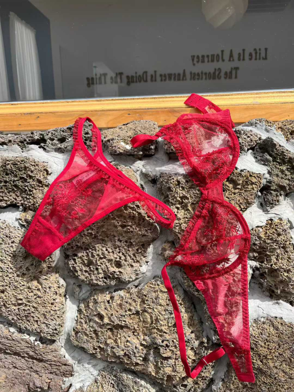 Francuski stil seksi žensko donje rublje s izvezenom čipkom, ultra-tanke košarice, vizualno manji dojam grudi