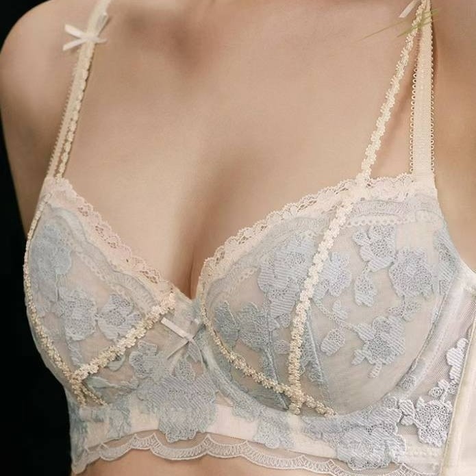 Francuski čipkasti set grudnjaka, tanko seksi donje rublje za žene, push-up za male grudi za puniji izgled