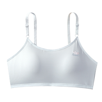 Grudnjak za tinejdžerice s fiksnim košaricama, prozračan Ice Silk, u vestnom stilu, za uzrast 15+ (Cup: Full; Mold Cup: Thin mold; Mold Cup fabric: Cotton; Fabric: Nylon; Shoulder strap: Fixed double)
