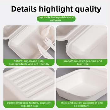 Vienkartinė hamburgerių dėžutė, kvadratinė, iš cukranendrių pulpos, biologiškai skaidri, talpa 8000 ml, storis 0,06