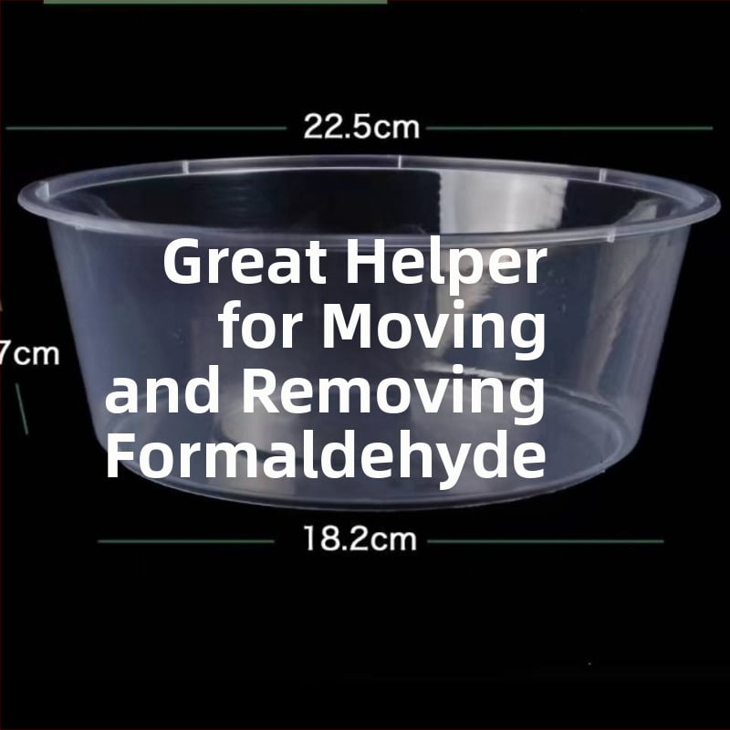 Cutie de prânz de unică folosință, rotundă – raci și fructe, nu este potrivită pentru microunde, imprimarea logo-ului este permisă