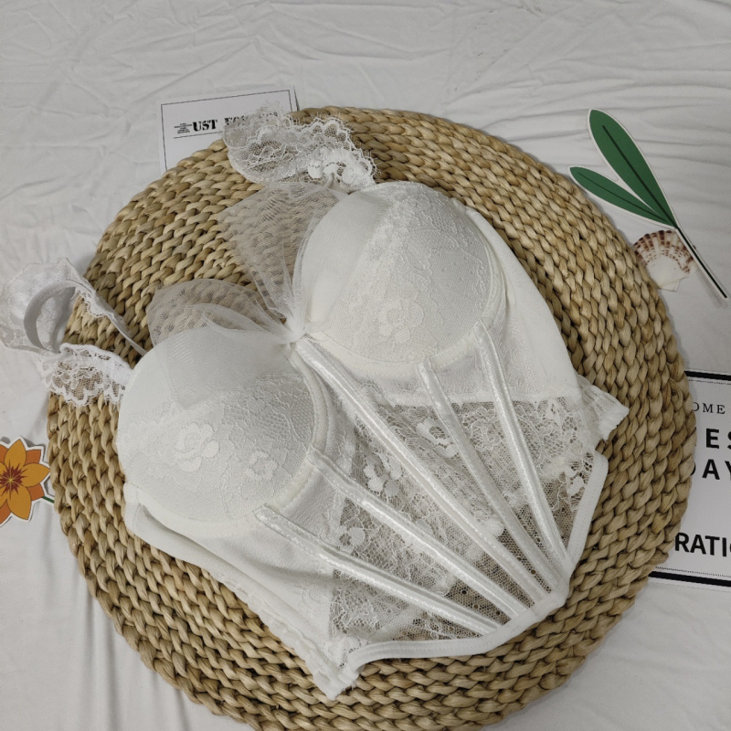 Newcastle čipkasti top s mašnicom i grudnjakom s kostima, uski kroj, kratka duljina