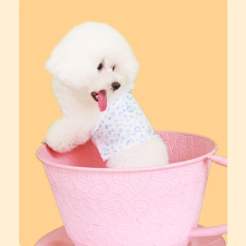 Šunų vystyklai – netkota medžiaga, kasdienio stiliaus, unisex