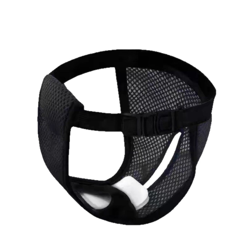 Chengxuan Poliesterinės Higieninės Kelnaitės Šunims Moterims, Laisvas Stilius