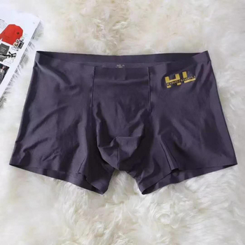 Muške boxerice od Ice Silk, srednjeg struka, bezšivne, prozračne, brzo se suše