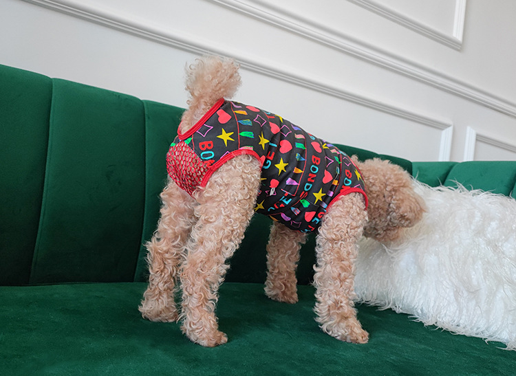 Jednodijelne pamučne gaćice za ženkog psa pasmine Bichon/Teddy