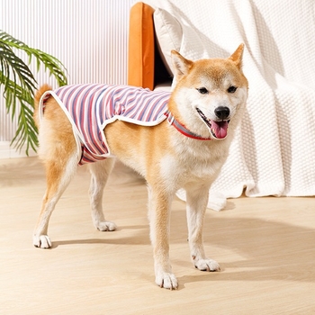 Fiziologinės šunų kelnaitės patelėms Labradorams – medvilnė, apsauga per karščio laikotarpį