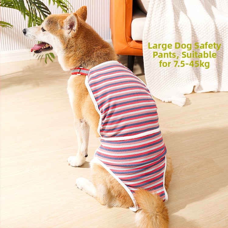 Fiziologinės šunų kelnaitės patelėms Labradorams – medvilnė, apsauga per karščio laikotarpį