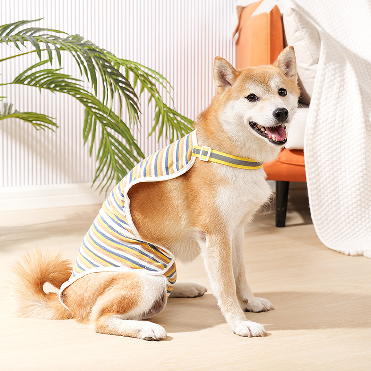 Fiziologinės šunų kelnaitės patelėms Labradorams – medvilnė, apsauga per karščio laikotarpį