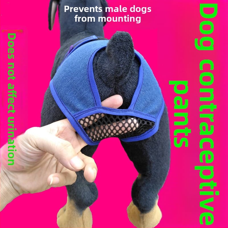 Φυσιολογικά παντελόνια για θηλυκά σκυλιά – στυλ ανάπαυσης, υλικό Cowboy, μάρκα ywwdogbaby, ρούχα για κατοικίδια