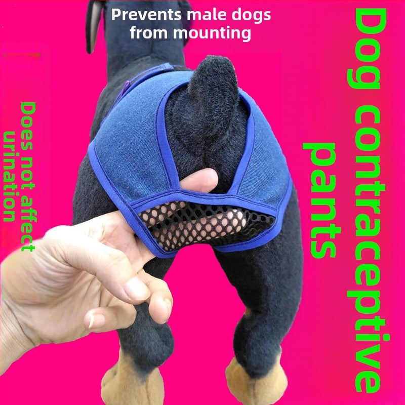 Φυσιολογικά παντελόνια για θηλυκά σκυλιά – στυλ ανάπαυσης, υλικό Cowboy, μάρκα ywwdogbaby, ρούχα για κατοικίδια