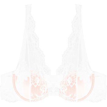 Prancūziško stiliaus nėrinių liemenėlė su siuvinėjimais, su kostimis, plonas kupolo formos kaušelis, push-up