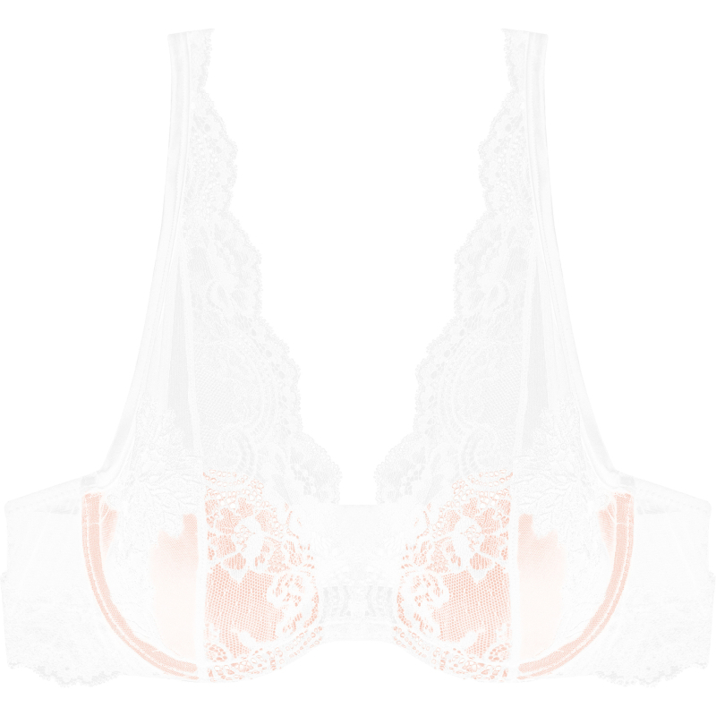 Prancūziško stiliaus nėrinių liemenėlė su siuvinėjimais, su kostimis, plonas kupolo formos kaušelis, push-up