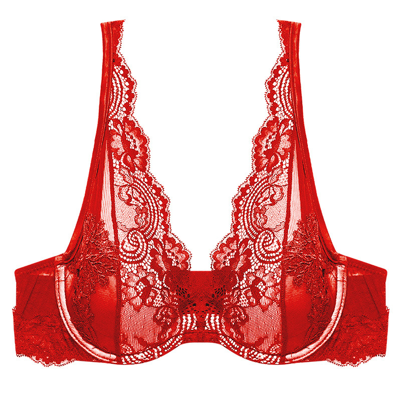 Prancūziško stiliaus nėrinių liemenėlė su siuvinėjimais, su kostimis, plonas kupolo formos kaušelis, push-up