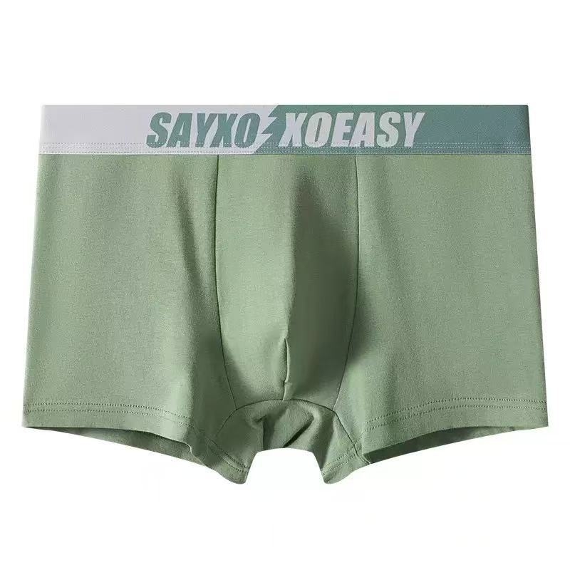 Slips bărbătești din bumbac, confortabile și respirabile, cu căptușeală internă antibacteriană; talie medie; țesătură tricotată; material principal: 95–100% bumbac; căptușeală: 90–95% poliester; modele: uni, blocuri de culoare sau text