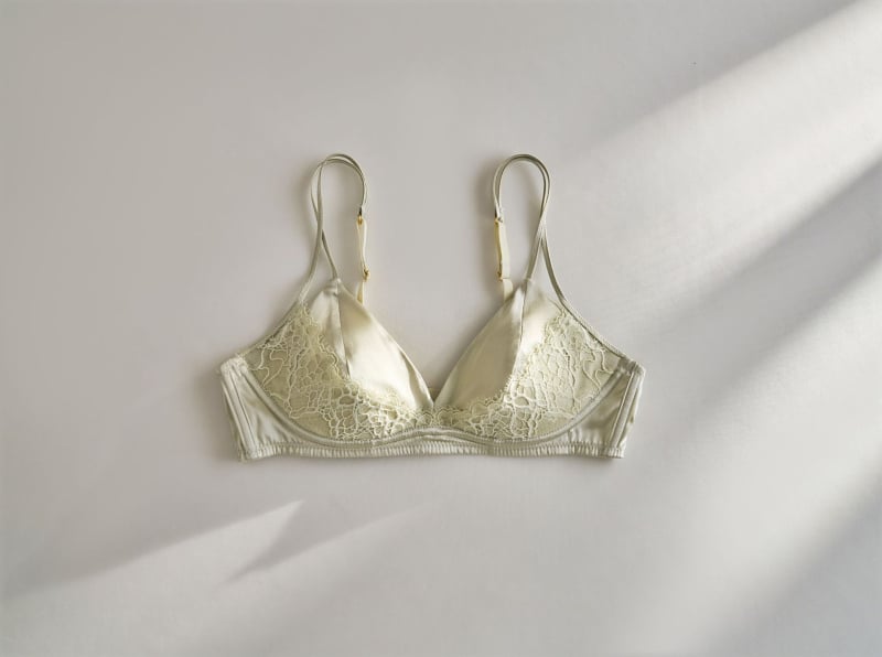 Šilkinė trikampio puodelio liemenėlė, prancūziško stiliaus, fiksuoti dvigubi pečiai, nugaros užtrauktukas su trim eilių kabliukų, Mulberry šilko įdėklas