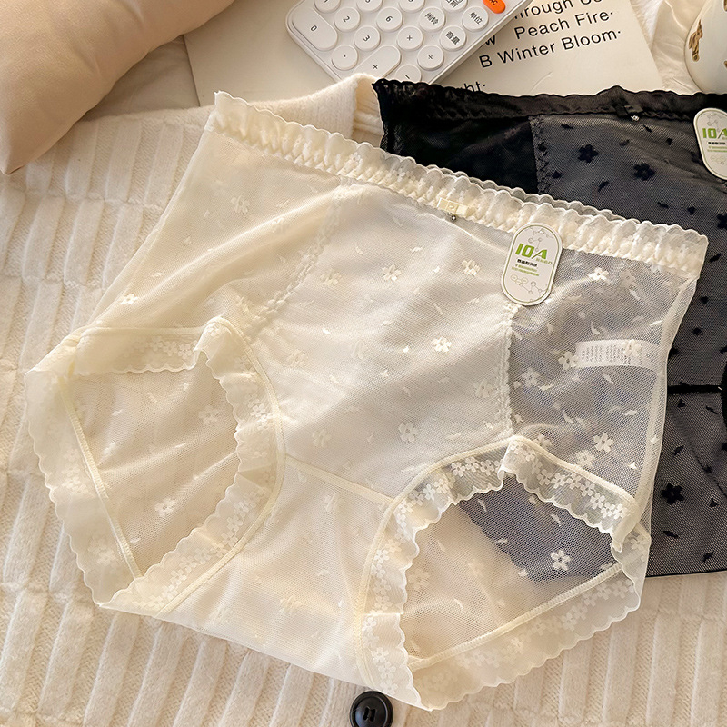 Plus-size gaćice od frančuske čipke, visoki pojas, prozračan materijal, pamuk podstava u preponama